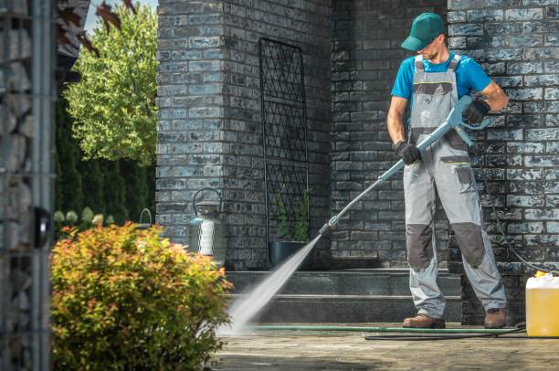 Best Gutter Cleaning  in Lavalette, WV